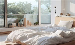 床上用品行业市场现状及趋势报告2024