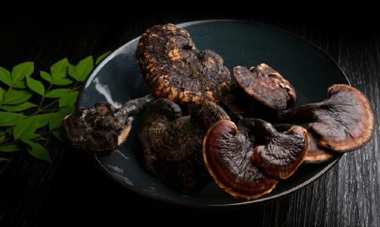 灵芝行业报告 灵芝行业发展现状深度调研分析