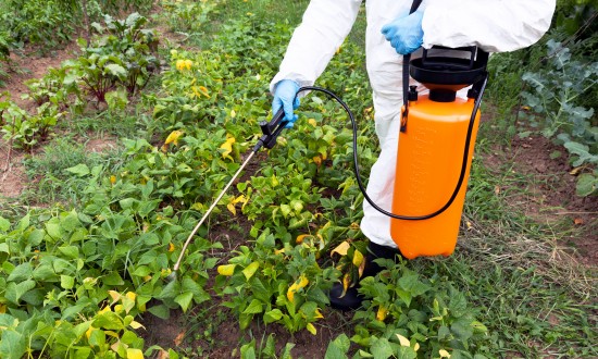 2024年中国草甘膦行业市场发展现状及重点企业经营情况