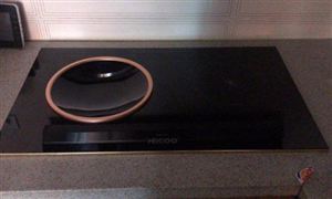 电灶具行业市场深度调研与市场环境2024