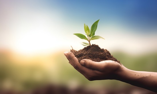 2024年中国农业保险行业发展现状及重点企业经营情况