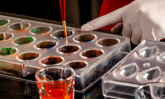 我国是目前亚太地区最大的天然色素市场   食用色素行业市场分析