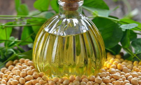 大豆油行业现状及发展前景分析2024