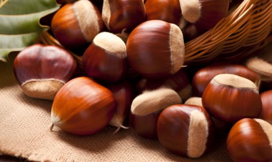 2024板栗行业深度调研：中国板栗及其加工产品的出口量不断增加