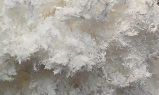 聚乙烯醇市场行情最新 聚乙烯醇行业市场调研与未来发展方向