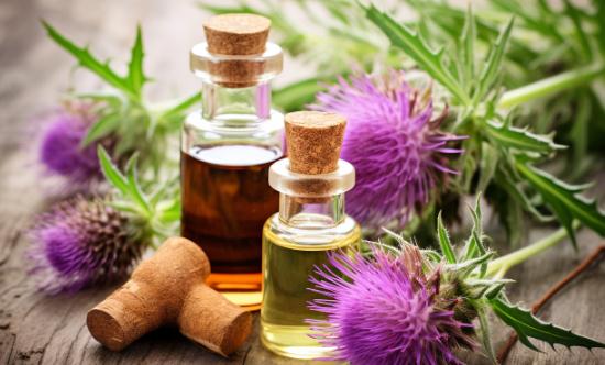 2024调研预测：植物提取物产业未来的发展前景十分广阔