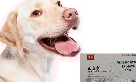 宠物医药行业市场前景与分析报告