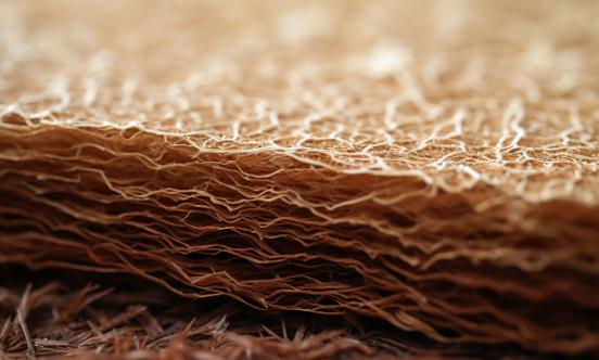 2024植物纤维行业发展分析与投资前景分析