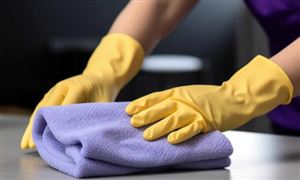 家政服务行业市场分析及家政服务行业发展趋势2024