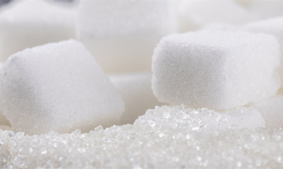 木聚糖行业市场现状及发展趋势报告2024