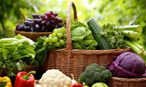 2024绿色食品行业现状深度调研与发展潜力分析