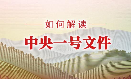 2024年中央一号文件公布 乡村振兴战略行业投资及发展前景展望2024
