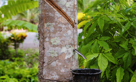 橡胶助剂行业发展历程、供需态势及发展趋势分析