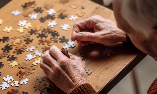 老人智力玩具行业消费需求及发展前景分析2024