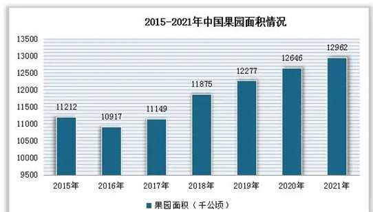 2024冻干蔬菜市场如何?冻干蔬菜行业市场机遇分析