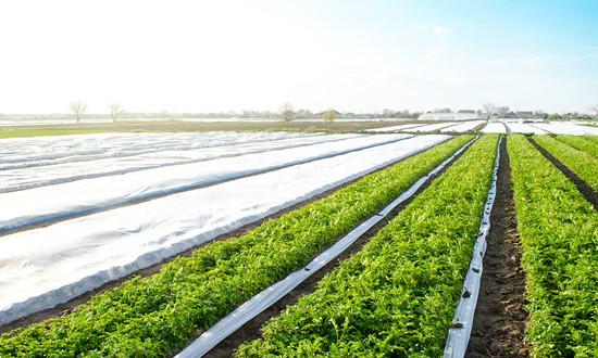 各大银行不断创新涉农金融产品 农业贷款行业市场深度调研分析