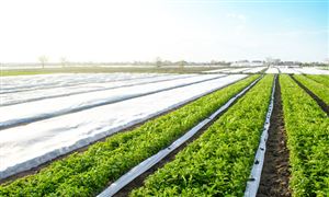 各大银行不断创新涉农金融产品 农业贷款行业市场深度调研分析