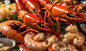 一天狂卖600吨 它卖爆了 龙年吃龙虾 火热上线 中国海鲜市场需求潜力分析报告