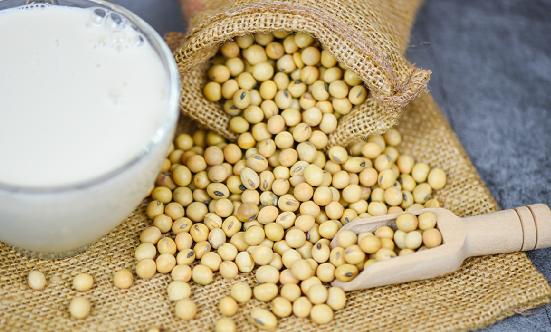 植物蛋白饮料行业现状及消费趋势分析2024