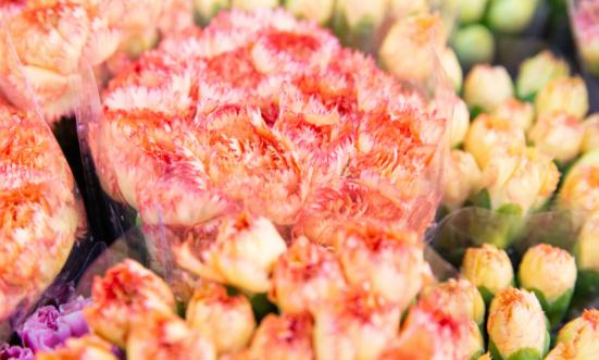 2024鲜切花市场行业竞争分析及发展前景预测