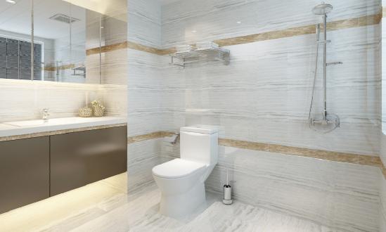 2024年中国马桶市场深度调查研究报告