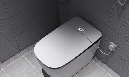 智能马桶市场销售现状与前景分析2024
