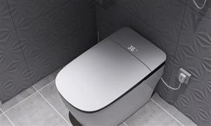 智能马桶市场销售现状与前景分析2024