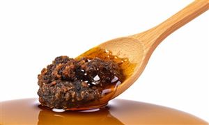 2024年蜂胶行业发展现状及重点企业经营情况