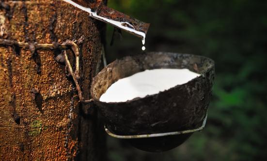 天然橡胶行业深度分析：天然橡胶的需求量有望继续增加