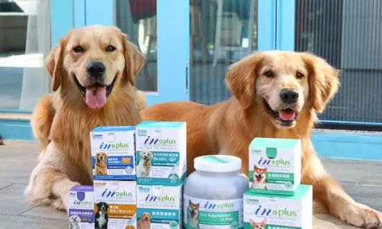 2024动物保健品行业市场发展前景与挑战