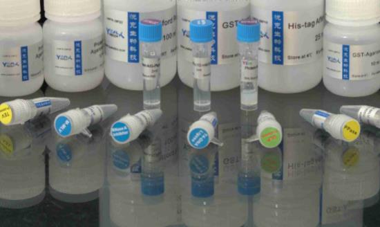 2024生化试剂行业投资价值与市场需求