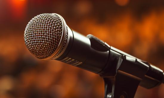 在中低端麦克风产品市场  麦克风制造企业众多 集中度较低