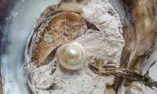 淡水珍珠产业现状分析：国内淡水珍珠生产养殖技术需要进一步提升