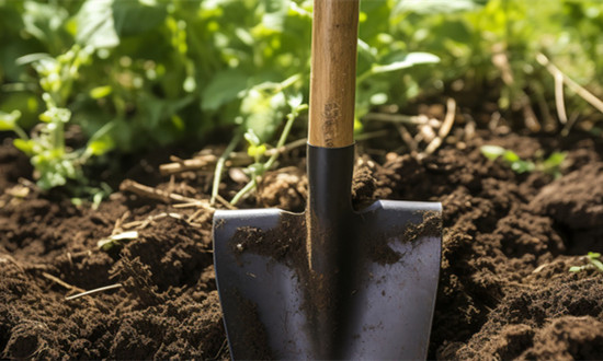 铁锹行业产业链结构分析及前景趋势