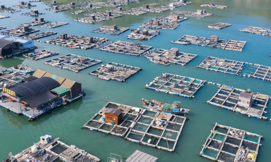 2024海洋牧场行业深度分析与投资调研分析