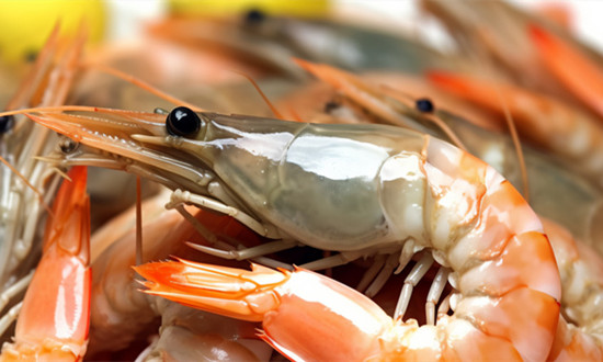 我国虾养殖产业波特五力模型分析