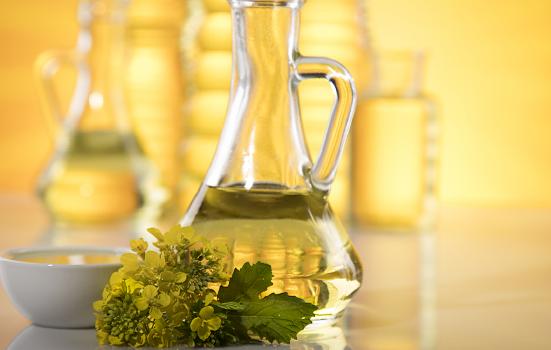 油茶产业现状分析报告2024：油茶产业有3个难题亟待破解