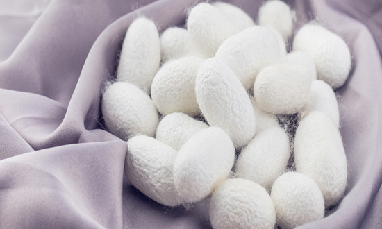 蚕丝行业市场分析 蚕丝行业现状调研