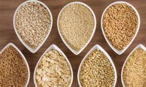 全球主要早餐食品市场规模将将增长近万亿元 舌尖上的巨大商机 调理食品行业产业链分析报告