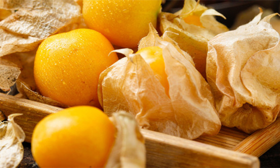 菇娘种植行业发展现状及市场前景分析