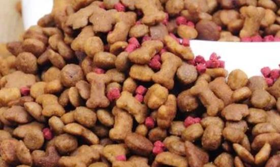 宠物饲料行业发展前景研究：正在驶入健康发展快车道