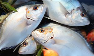 水产品加工行业发展现状、市场需求及发展趋势