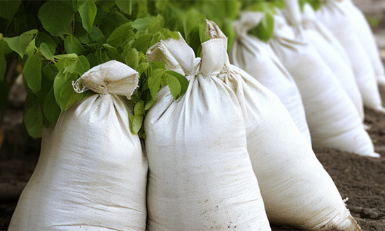 有机肥料行业市场规模及未来战略前景分析