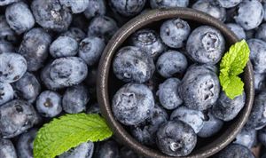 2024年蓝莓行业市场深度分析 中国蓝莓产业预计将在未来5年内成熟并整合