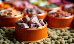 宠物食品行业市场现状及投融资分析2024