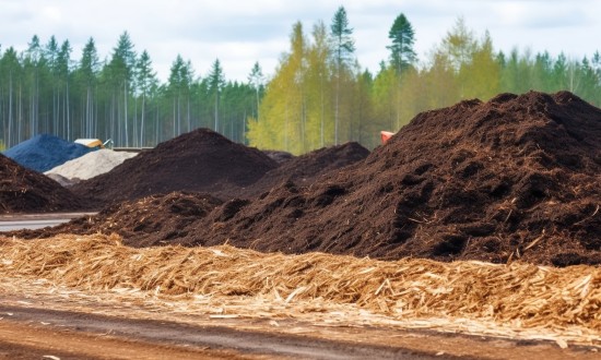 2024年中国木质颗粒燃料行业发展现状及竞争格局