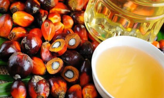 棕榈油行情怎么样？2024年中国棕榈油进口量预测