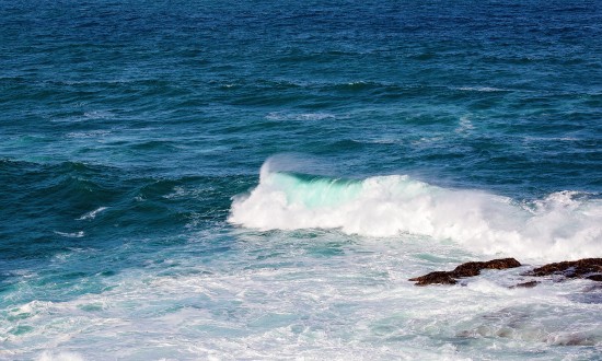 2024年海流能行业市场现状及重点企业