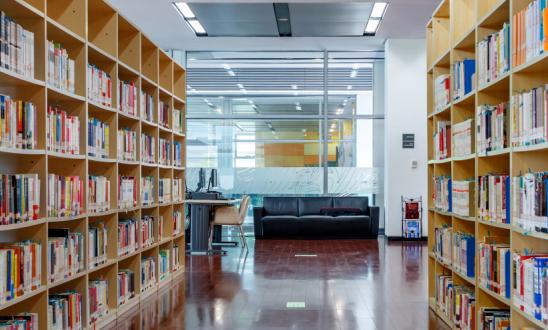 我国少儿读物行业市场正面临数字化转型  中国少儿读物行业市场深度调研分析