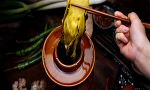 酸菜为何占据东北餐桌C位? 酸菜行业市场深度调研分析